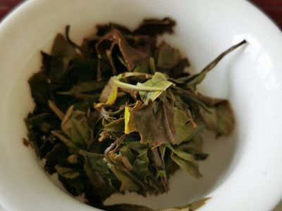 2019福鼎白茶白牡丹高山饼干茶厂家批发500g图4