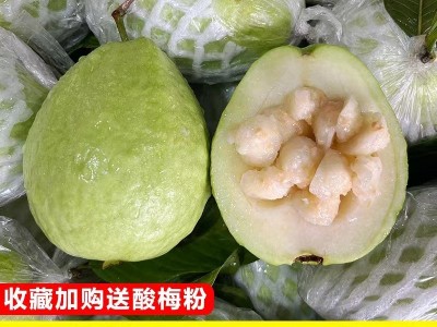 白心芭乐珍珠番石榴现摘现发新鲜水果5斤甜脆巴乐潘石榴孕妇水果图2