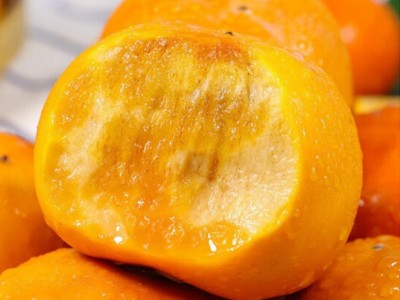 正宗广西巧克力甜脆柿子恭城月柿新鲜水果批发柿花果脆甜大柿子图3