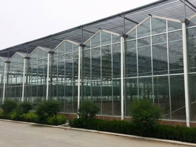 连栋玻璃温室大棚 温室骨架大棚配件 厂家供应钢架连体智能温室图3