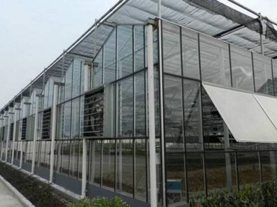 连栋玻璃温室大棚 温室骨架大棚配件 厂家供应钢架连体智能温室图4