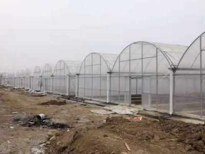 供应农业大棚造价薄膜连栋大棚 玻璃温室防虫避雨棚葡萄连体大棚图4