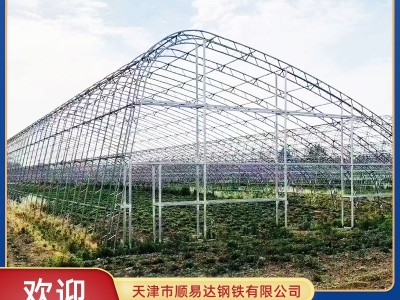 温室大棚骨架 冷棚暖棚插地棚 镀锌管 天津大棚钢管 联动大棚图2