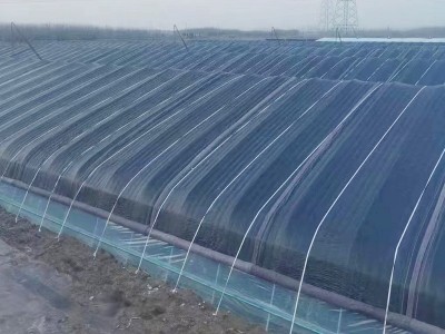温室大棚骨架 冷棚暖棚插地棚 镀锌管 天津大棚钢管 联动大棚图5