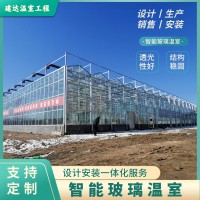 玻璃温室 现代化智能大棚 科研观光大棚 无土栽培种植大棚