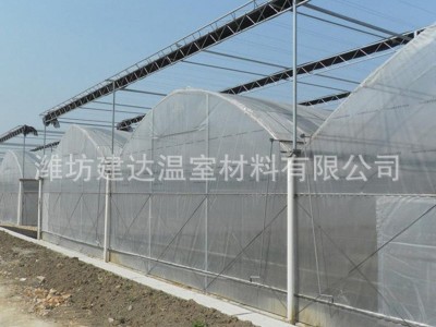 塑料薄膜大棚 连栋薄膜大棚 连栋大棚骨架 钢架大棚 花卉大棚图2