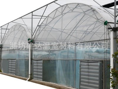 塑料薄膜大棚 连栋薄膜大棚 连栋大棚骨架 钢架大棚 花卉大棚图5