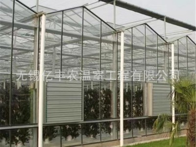 厂家供应玻璃温室大棚 连体玻璃温室农业花卉种植温室大棚 可上门图2