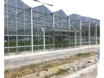 厂家供应玻璃温室大棚 连体玻璃温室农业花卉种植温室大棚 可上门图5