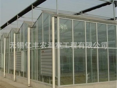 厂家供应玻璃温室大棚 连体玻璃温室农业花卉种植温室大棚 可上门图4
