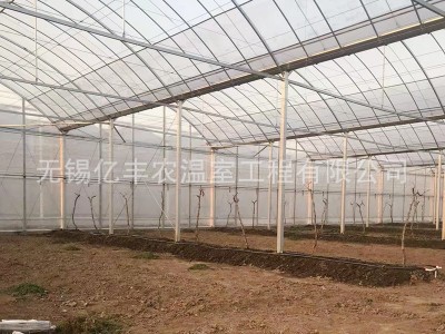无锡大棚厂家供应 智能观光大棚 连体种植大棚 温室薄膜大棚现货图4