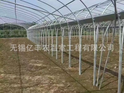 肩并肩简易连体大棚葡萄避雨棚 大棚骨架连栋钢架 送货上门安装图4