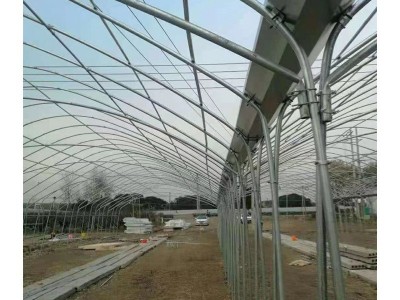 肩并肩简易连体大棚葡萄避雨棚 大棚骨架连栋钢架 送货上门安装图5