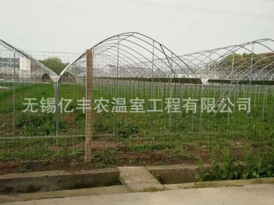 肩并肩简易连体大棚葡萄避雨棚 大棚骨架连栋钢架 送货上门安装图3