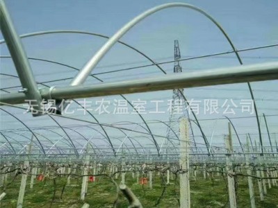 肩并肩简易连体大棚葡萄避雨棚 大棚骨架连栋钢架 送货上门安装图2