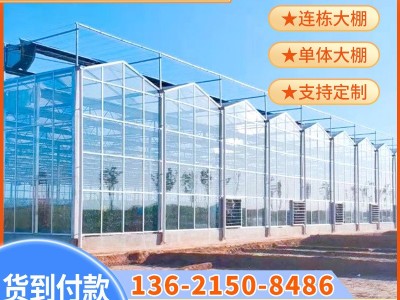 玻璃温室大棚养种植花卉连栋大棚钢架结构蔬菜现代化观光智能培育图4