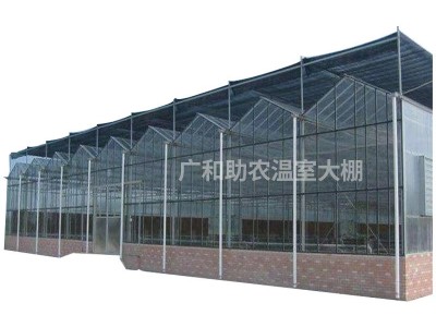 玻璃温室大棚养种植花卉连栋大棚钢架结构蔬菜现代化观光智能培育图5