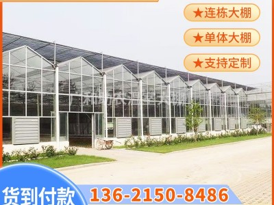 玻璃温室大棚养种植花卉连栋大棚钢架结构蔬菜现代化观光智能培育图2