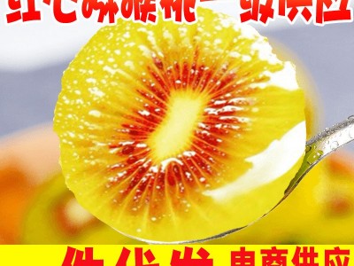 【一件代发】四川红心猕猴桃水果大果批发整车团购直播图2