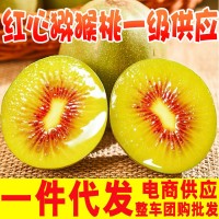 【一件代发】四川红心猕猴桃水果大果批发整车团购直播