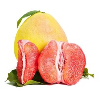 【应季款】三红柚 柚子当季新鲜现摘蜜柚红心柚水果红肉蜜柚代发
