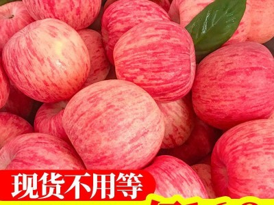 【精选】高山冰糖心红富士苹果水果新鲜脆甜特价多规格整箱批发图2