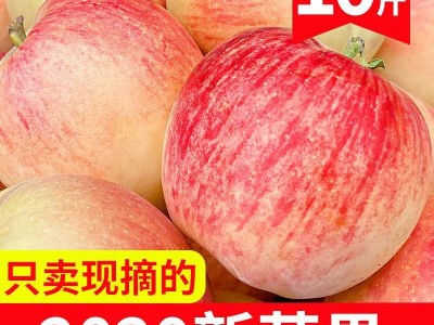 【精选】高山冰糖心红富士苹果水果新鲜脆甜特价多规格整箱批发图4