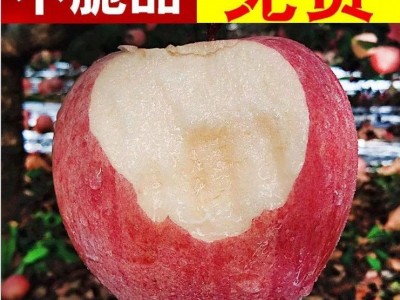【精选】高山冰糖心红富士苹果水果新鲜脆甜特价多规格整箱批发图5