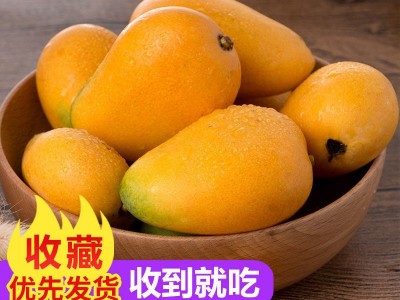 海南小台农芒果新鲜小台芒鸡蛋芒热带水果批发包邮图3
