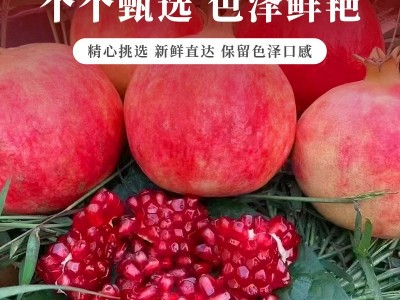四川会理软籽石榴突尼斯软石榴果园先摘红心软石榴现货批发图2