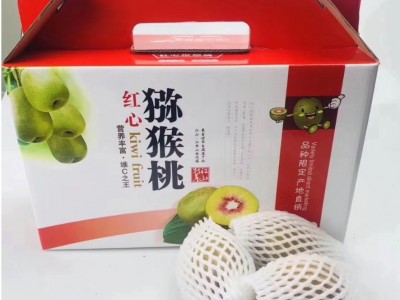 江山红心猕猴桃新鲜水果一件代发图2
