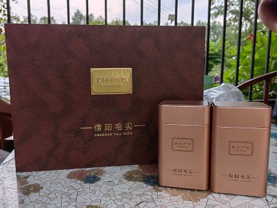 信阳毛尖雪芽 毛尖茶2023新茶高山绿茶嫩芽春茶一芽一叶绿茶图3