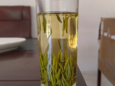 信阳毛尖雪芽 毛尖茶2023新茶高山绿茶嫩芽春茶一芽一叶绿茶图4