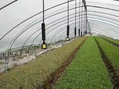 大棚喷灌农用倒挂微喷头吊挂喷水雾化防滴旋转折射浇水喷头图5