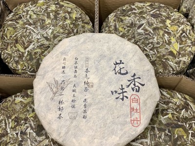 福建高山白茶2022白牡丹花香味系列白茶饼紧压茶原产地散装批发支图3