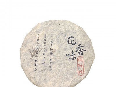 福建高山白茶2022白牡丹花香味系列白茶饼紧压茶原产地散装批发支图4