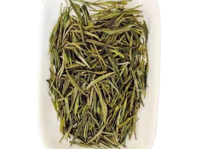 霍山黄芽礼盒天然饮品早春鲜嫩送客户朋友亲人茶园生产向阳生长图2