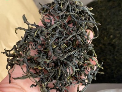 广东乌龙茶 潮州凤凰单枞茶 乌岽鸭屎香散装茶叶批发一斤包邮图1