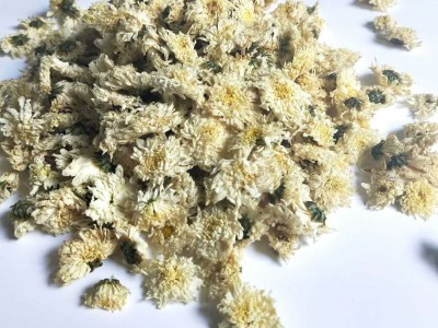 散装七月菊黄山贡菊 花草茶 白菊花茶一手货源 量大价优 现货批发图3