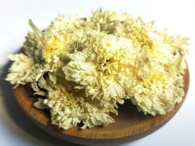 散装七月菊黄山贡菊 花草茶 白菊花茶一手货源 量大价优 现货批发图4