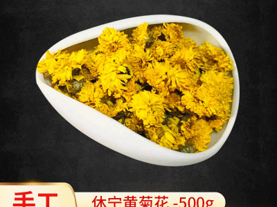 产地货源休宁黄菊花批发散装黄菊花茶500克小黄菊金贡菊现货批发图1
