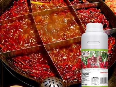 厨圣小夫水溶性辣椒精特辣油香辣红油调料超辣魔鬼辣BT变态辣商用图2
