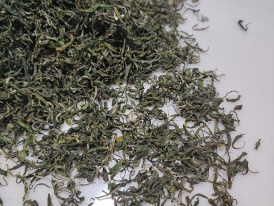 2023新茶雨前高山春茶毛尖大别山地区土茶湖北绿茶云雾茶散装批发图2