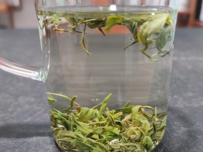 2023新茶雨前高山春茶毛尖大别山地区土茶湖北绿茶云雾茶散装批发图4