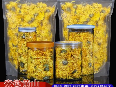 金丝皇菊一朵一杯黄山黄菊原产地厂家罐装菊花茶代加工图1
