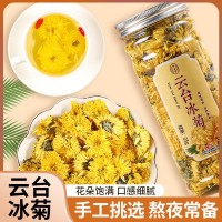 艮古堂云台冰菊代用茶一朵一杯罐装居家办公大花菊花