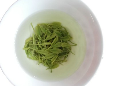 恩施玉露茶绿茶2023新茶春茶明前蒸青浓香型高山茶叶散装图5