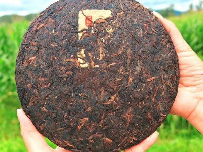 中宏印勐海普洱熟茶 布朗山古树普洱茶饼 云南七子饼茶厂家直销图2