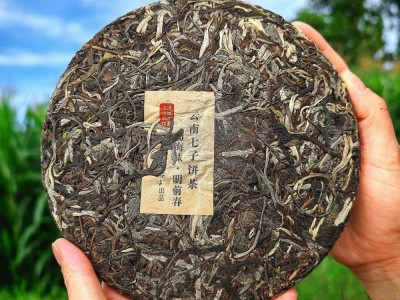 中宏印勐海普洱生茶 357克布朗山乔木茶 云南普洱茶厂货大量直销图2
