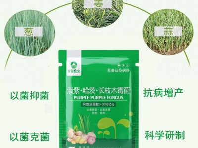 葱姜蒜病全治杀菌剂大蒜 干尖灵 大葱锈病大姜炭疽姜瘟疫病专用药图3